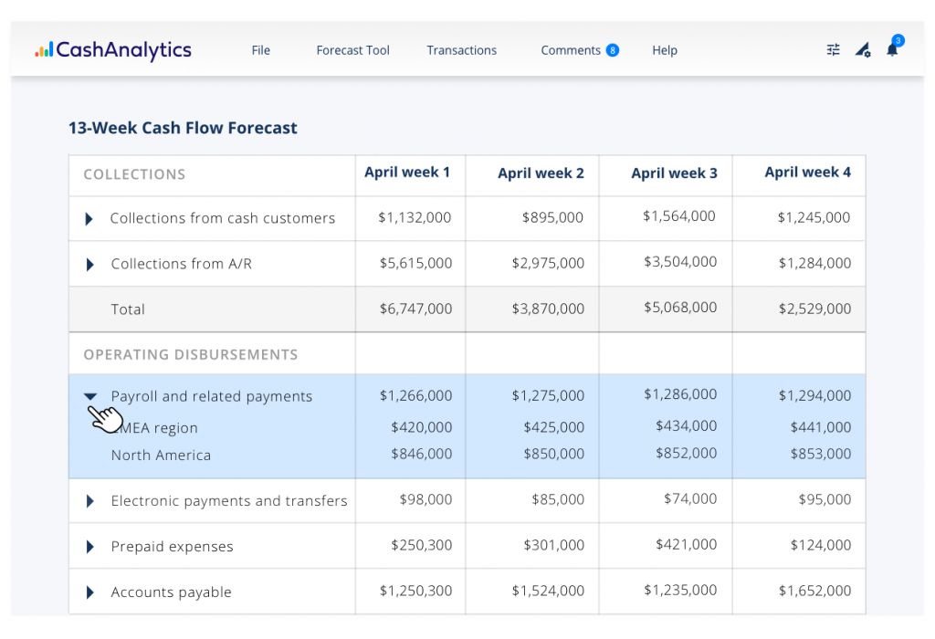 13 week cash flow